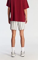 Pacsun Navy Striped Textured Volley Shorts