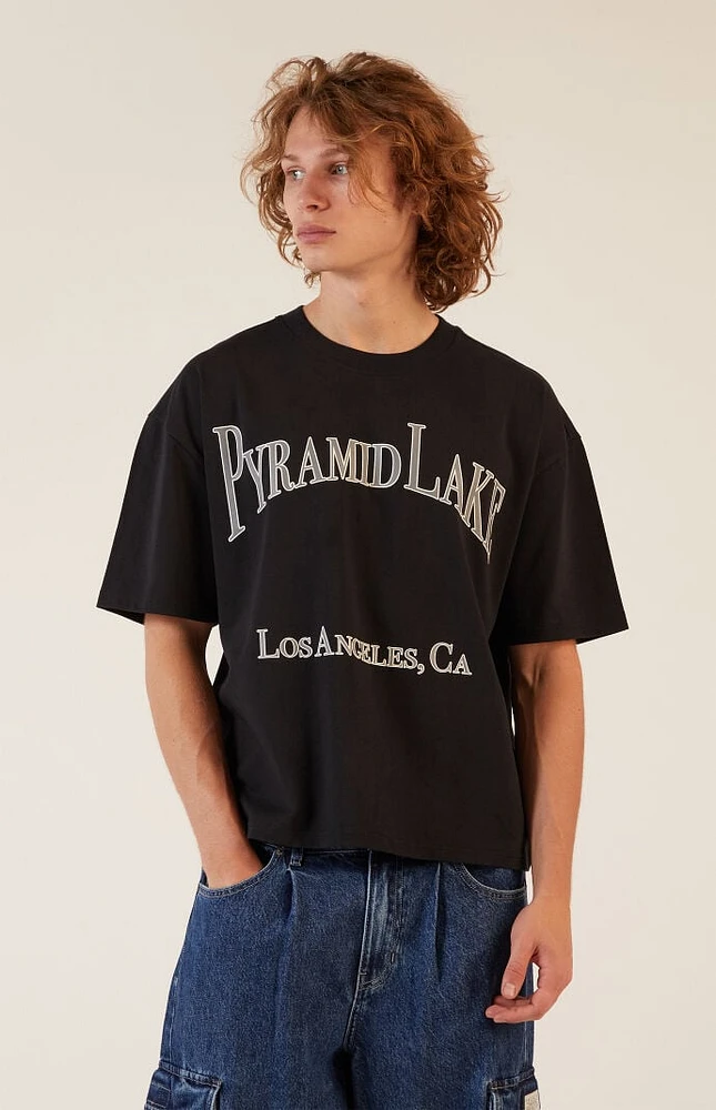 PacSun Lake Boxy Cropped T-Shirt