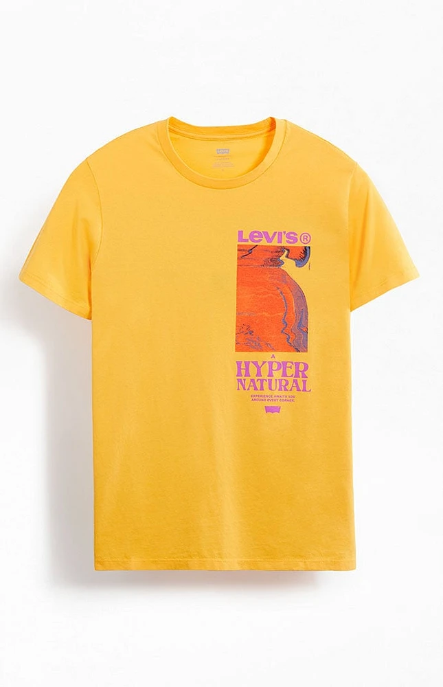 Levi's Classic Graphic T-Shirt