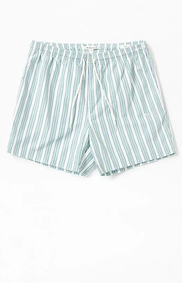 PacSun Stripe 4.5" Swim Trunks