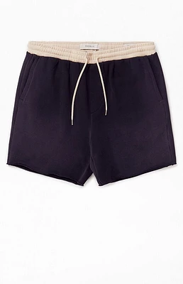 Pacsun Black Fleece Volley Shorts