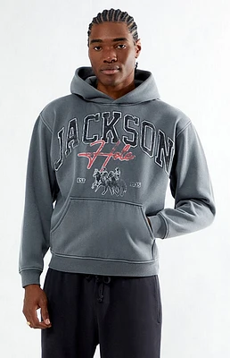 Pacsun Jackson Hole Hoodie