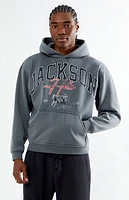 Pacsun Jackson Hole Hoodie
