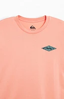 Quiksilver Fossilized T-Shirt