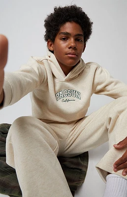 PacSun Kids Embroidered Logo Hoodie