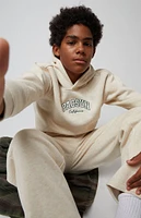 PacSun Kids Embroidered Logo Hoodie