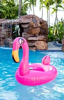 PoolCandy Tube Runner Motorized Flamingo Pool Float