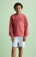 Pacsun Kids Light Indigo Denim Shorts