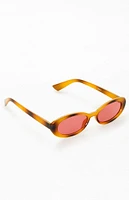 Brown Plastic Round Sunglasses