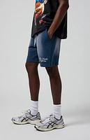 Pacsun Navy Potassium Fleece Volley Sweat Shorts