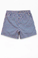 PacSun Stripe 4.5" Swim Trunks