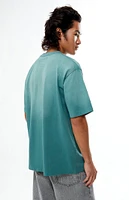 PacSun Premium Potassium Wash T-Shirt