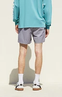 PacSun Gray Volley Shorts