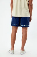 PacSun Script Nylon Shorts