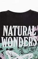 PacSun Natural Wonders T-Shirt