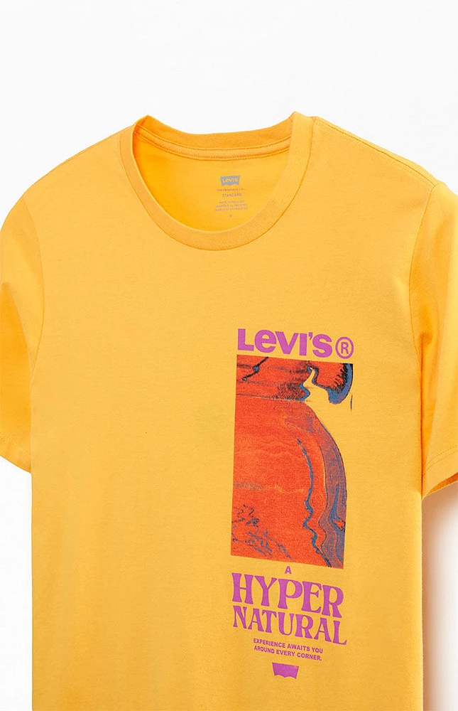 Levi's Classic Graphic T-Shirt