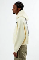 Pacsun Fiery NY Cropped Hoodie