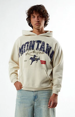 PacSun Montana Hoodie