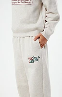 Pacsun Kids Plant Baggy Sweatpants