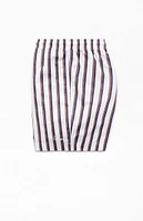 PacSun Baja Striped 4.5 Swim Trunks