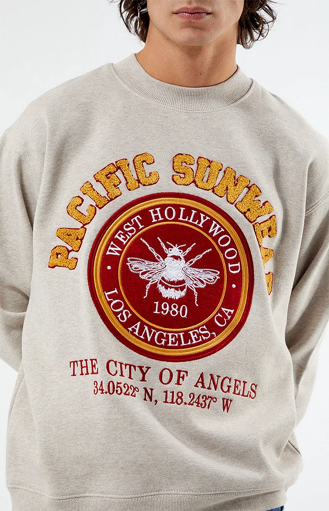 PacSun Pacific Sunwear Chenille Crew Neck Sweatshirt