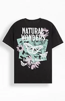 PacSun Natural Wonders T-Shirt