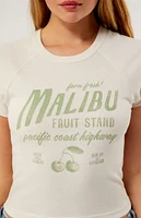 PacSun Malibu Fruit Raglan T-Shirt