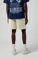 Pacsun Harmony Edge Fleece Volley Sweat Shorts