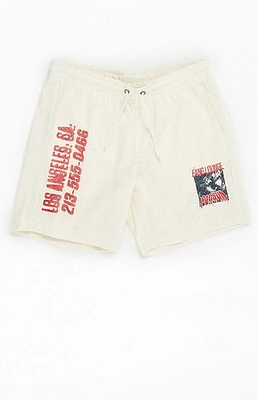 Pacsun Fang Lounge Mesh Basketball Shorts