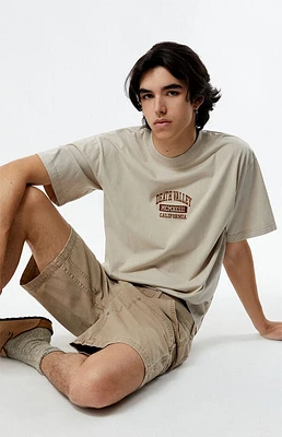 Pacsun Death Valley Embroidered T-Shirt