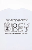 Obey Mystic Powers Heavyweight Boxy T-Shirt