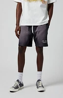 Pacsun Potassium Fleece Volley Sweat Shorts