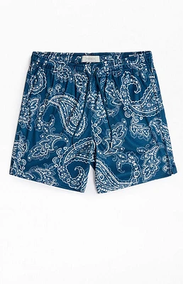 Pacsun Aaron Paisley Mesh Volley Shorts