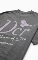 Diamond Cross Ranch Soaring T-Shirt