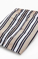 PacSun Multi Stripe 4" Swim Trunks