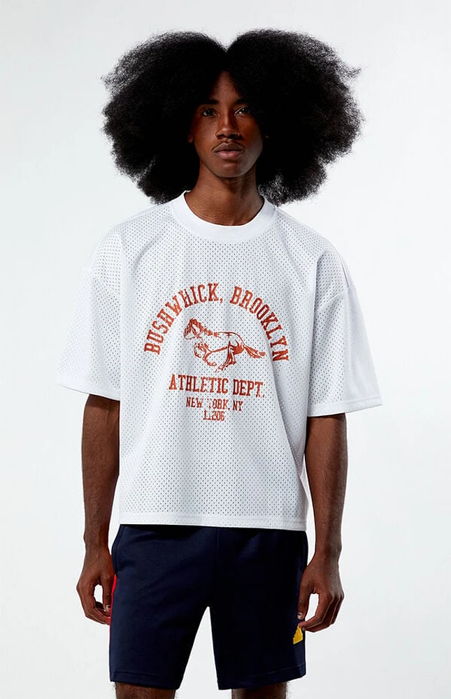 Pacsun Leagues Mesh Boxy Cropped Jersey T-Shirt