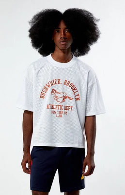 Pacsun Leagues Mesh Boxy Cropped Jersey T-Shirt