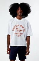 Pacsun Leagues Mesh Boxy Cropped Jersey T-Shirt
