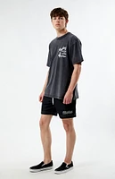 Playboy By PacSun Sports Oversized T-Shirt