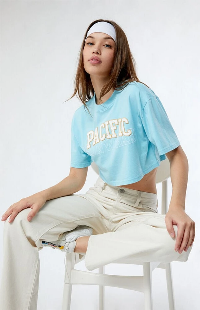 Pacsun Pacific Sunwear Arch Cropped T-Shirt