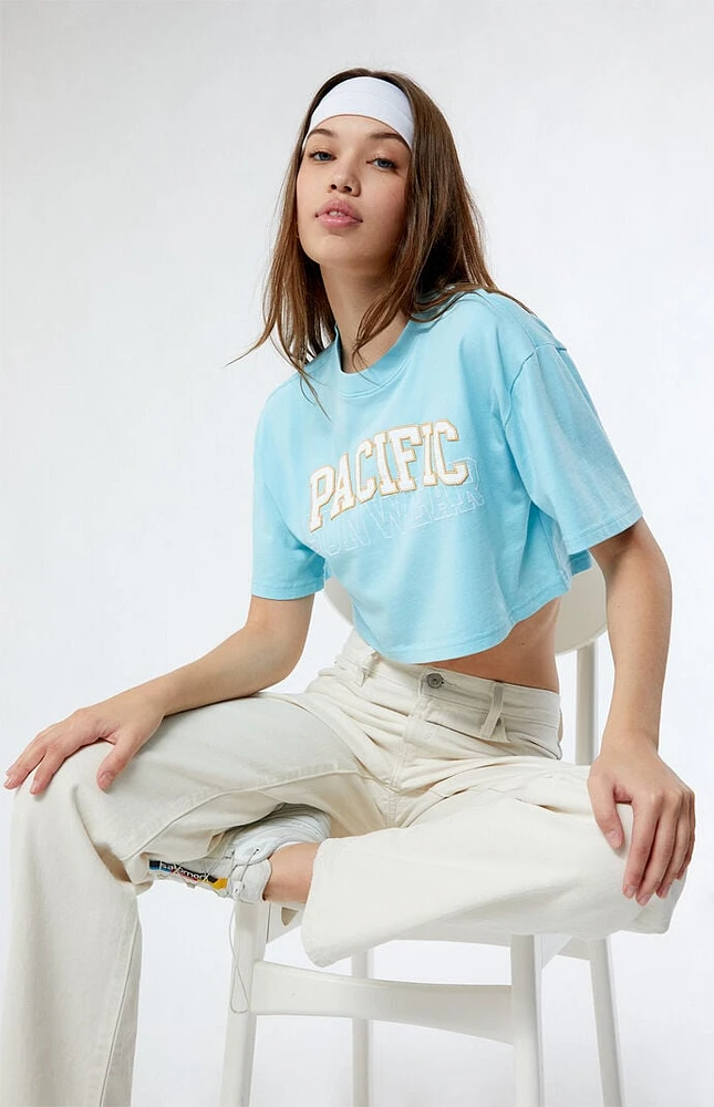 PacSun Pacific Sunwear Arch Cropped T-Shirt