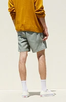 PacSun Olive Textured Volley Shorts