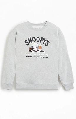 Kids Snoopy Fountain Crew Neck Sweatshirt