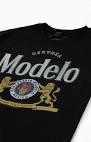 Modelo T-Shirt