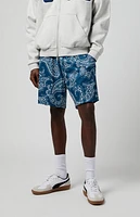 Pacsun Blue Aaron Paisley Mesh Volley Shorts