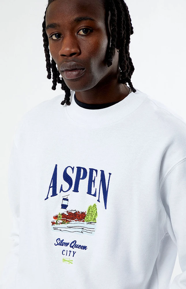 PacSun Aspen Embroidered Crew Neck Sweatshirt