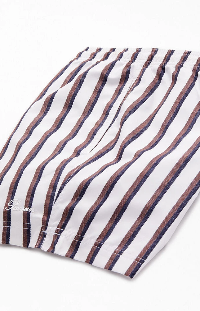 PacSun Baja Striped 4.5 Swim Trunks