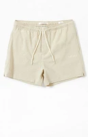 PacSun Tan Sail Seersucker 4.5" Swim Trunks