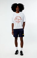 Pacsun Leagues Mesh Boxy Cropped Jersey T-Shirt