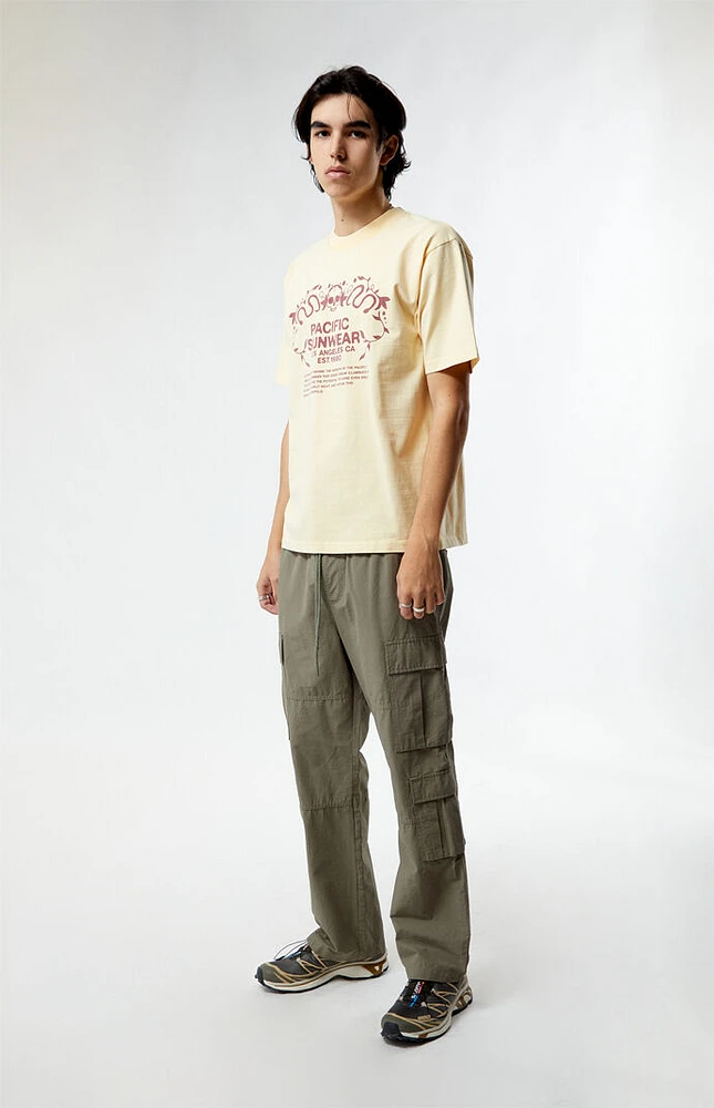 PacSun Pacific Sunwear Behind The Horizons Oversized T-Shirt